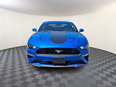 2019 Ford Mustang EcoBoost